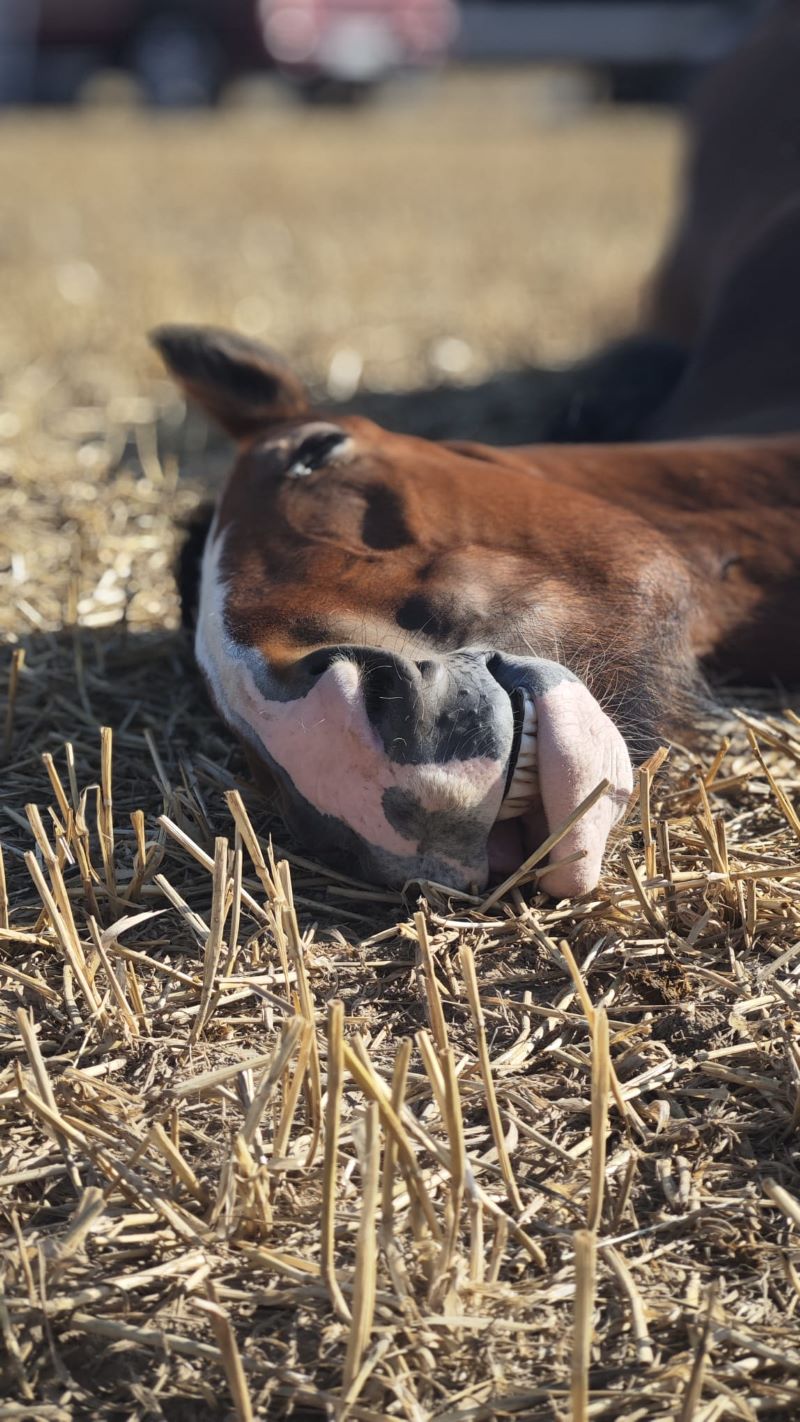 Zoey pennt tief und fest